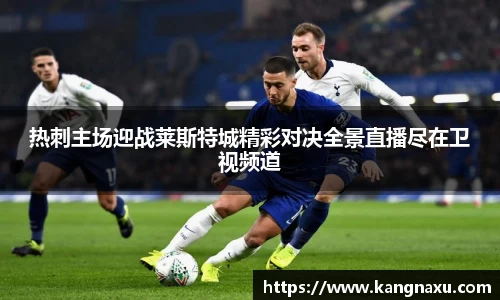 热刺主场迎战莱斯特城精彩对决全景直播尽在卫视频道